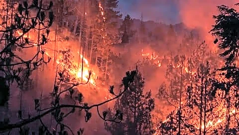 Local teams control Budogi fire in Tehri within 90 minutes