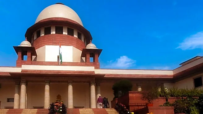 'Don't take it sentimentally': SC rejects hearing against Cockroach party