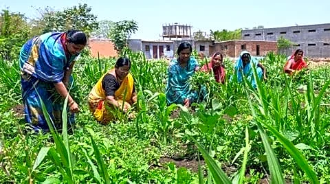Maharashtra braces for 12% monsoon drop, rolls out AI updates