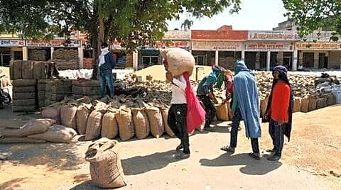 India holds over half fertilizer needed for Kharif 2026 season