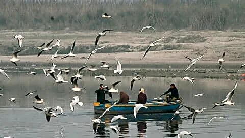 Supreme Court names committee to tackle Yamuna pollution in Delhi