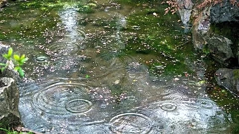 Western disturbance brings storms, Kerala monsoon in 2-3 days