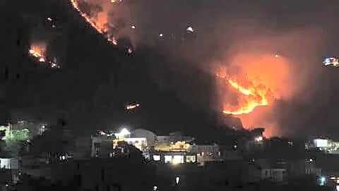 Uttarakhand reports 447 forest fires, 1 forest worker dead