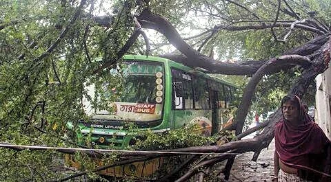 South Bengal thunderstorm kills at least 7, Suvendu Adhikari confirms
