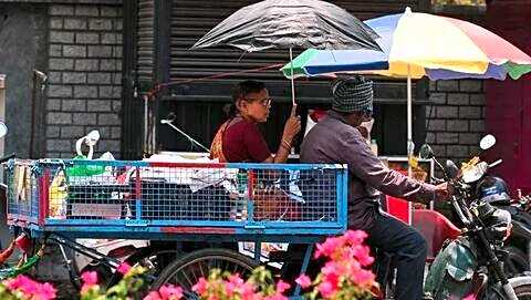 IMD and state officials say Andhra Pradesh heat eases Sunday