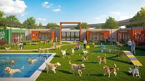 Delhi to get 1st official 1.5-acre dog park in Jangpura