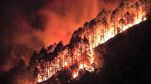 Satellite images show forest fires blackening Uttarakhand and Himachal Pradesh