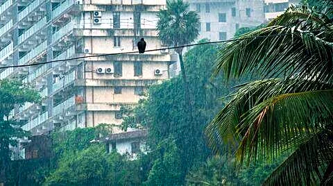 Pre-monsoon showers give Mumbai a break but waterlogging reported