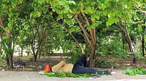 UC Berkeley study: India's severe heat causes 3,400 extra deaths
