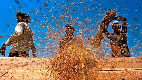 Government readies protection for farmers after IMD forecasts below-normal monsoon