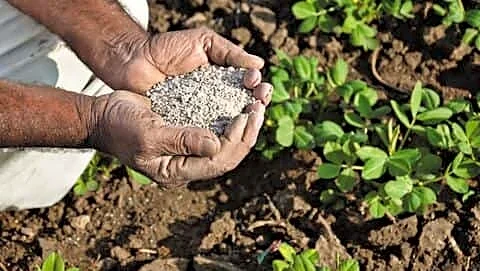 India rethinks fertilizer policy after 20% subsidy spent, official says