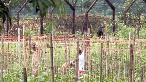 West Bengal gives BSF 32 acres for India-Bangladesh fencing