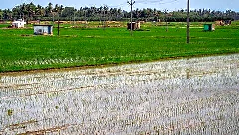 Tamil Nadu records 330 tmc ft Cauvery surplus, monsoon worries