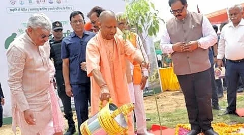 Uttar Pradesh plants over 5cr saplings in a single day