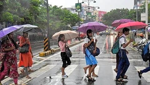 Heavy rain batters Kerala, Thrissur tree crash kills 29-year-old man