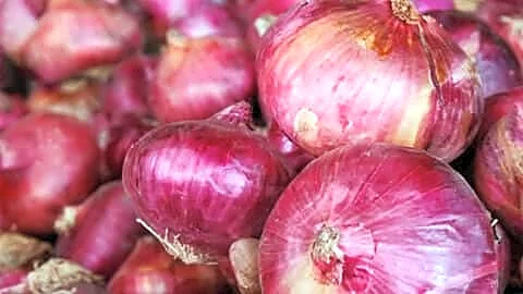Maharashtra onion farmers demand ₹3,000 MSP, NAFED, NCCF pay ₹1,580