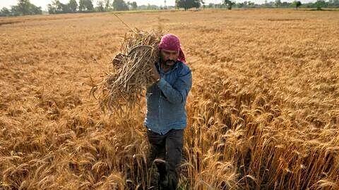 El Nino may cut India monsoon to about 90% rainfall