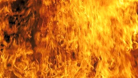 One person rescued after fire at Kolkata's Alipore government building
