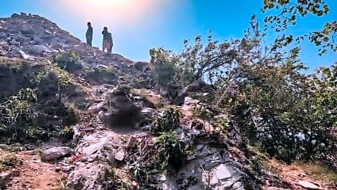Police fear 4 dead after car falls into Mussoorie gorge