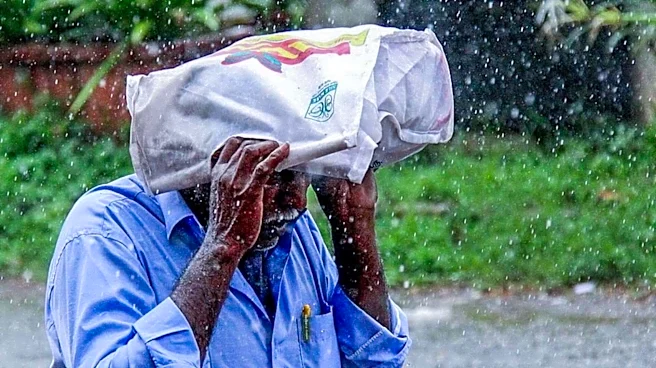 Powerful western disturbance to bring rain, hailstorms across North India