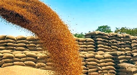 Uttar Pradesh likely to miss 2026 wheat procurement target