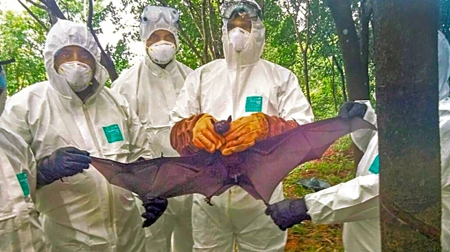 Fresh Nipah case in Kerala; 40-year-old Kozhikode man tests positive