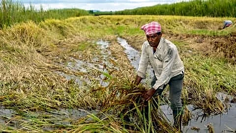 PM Kisan Samman Nidhi ₹2,000 installment expected soon for farmers