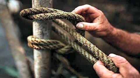 India's seafarer workforce soars to about 12% amid safety concerns