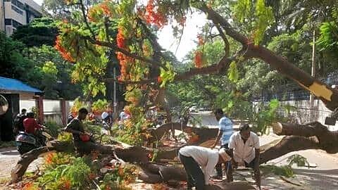 Bengaluru weekend disrupted by rain, flooding, fallen trees and traffic