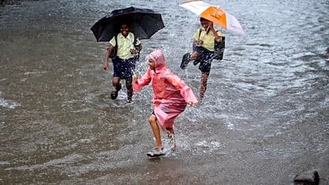 Maharashtra monsoon stalled at Harne and Solapur, revival possible