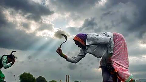 India finalizing 17L tons of urea imports for kharif crops