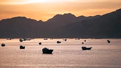 Strait of Hormuz holds 16 fertilizer ships bound for India