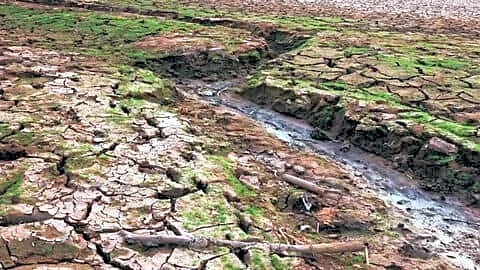 El Nino threatens 2026 monsoon, Shivraj Singh Chouhan urges action