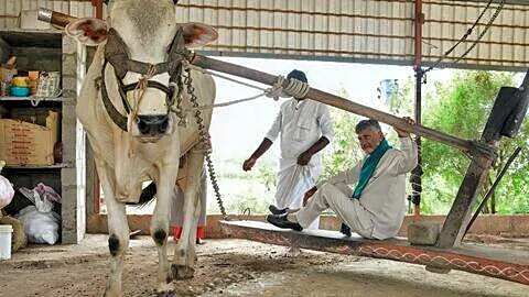 AP CM Naidu disburses ₹3125cr to 46.85L farmers under PM-Kisan