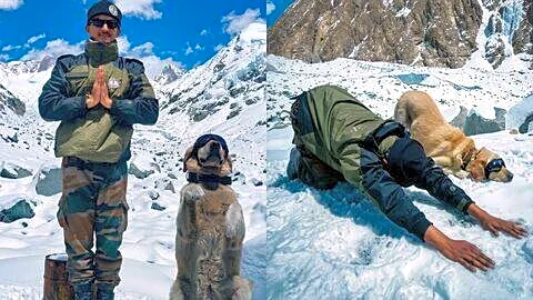 Indian Army marks Yoga Day with sniffer dogs on Siachen