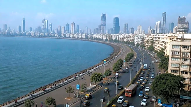 'Mumbai will look like concrete jungle by 2040': Urban designer