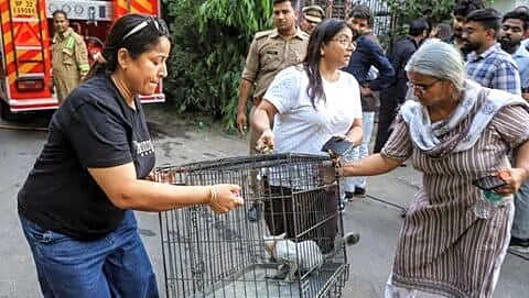 Lucknow Aliganj fire kills 15, over 30 pets trapped