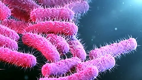 Kerala reports 15 new Shigella cases, 165 this June