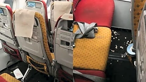 Air India flight attendant Kataria posts Instagram cabin litter video