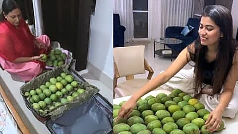 Mother-in-law packs suitcase of Malda mangoes for Bengaluru's Shreyaa