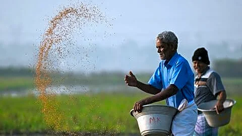 IMD: Southwest monsoon likely 90% of normal amid El Nino