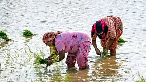 Maharashtra approves draft bill enabling official recognition for women farmers