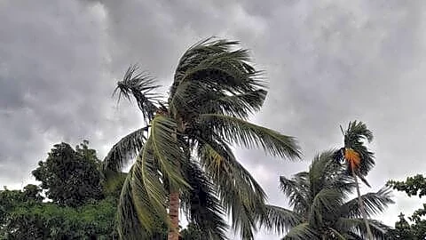 IMD says monsoon advancing toward Delhi-NCR but rain not immediate