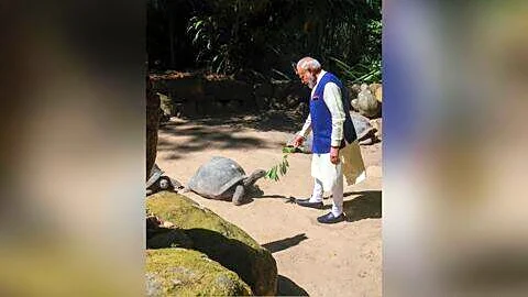 Prime Minister Narendra Modi meets Aldabra tortoise in Seychelles garden