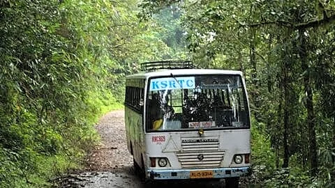 KFDC limits Gavi visitors to guided treks for local safety
