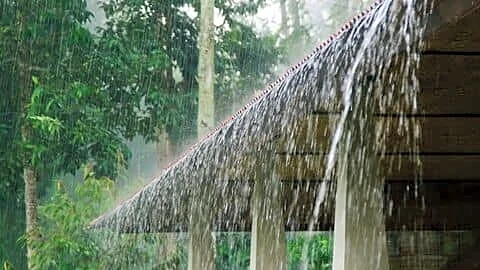 IMD: Monsoon to pick up across central India July 2