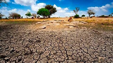 India drought worsens since late June 2026, widening regional reach