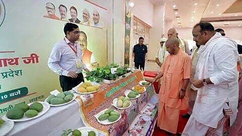 Uttar Pradesh launches 'Kakori Brand' Malihabadi mangoes at Mango Festival