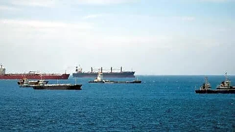 India's fertilizer imports steady as 15 ships pass Hormuz