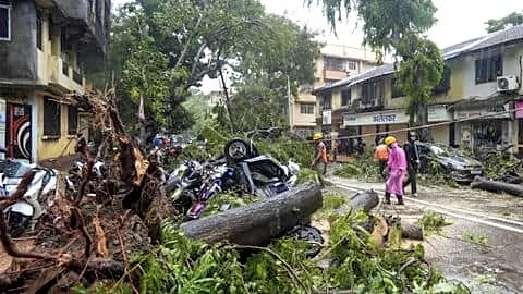 Mumbai storm kills 2, causes 142 tree or branch falls